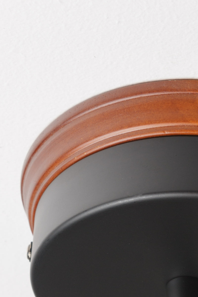 Carlton Pendant Light