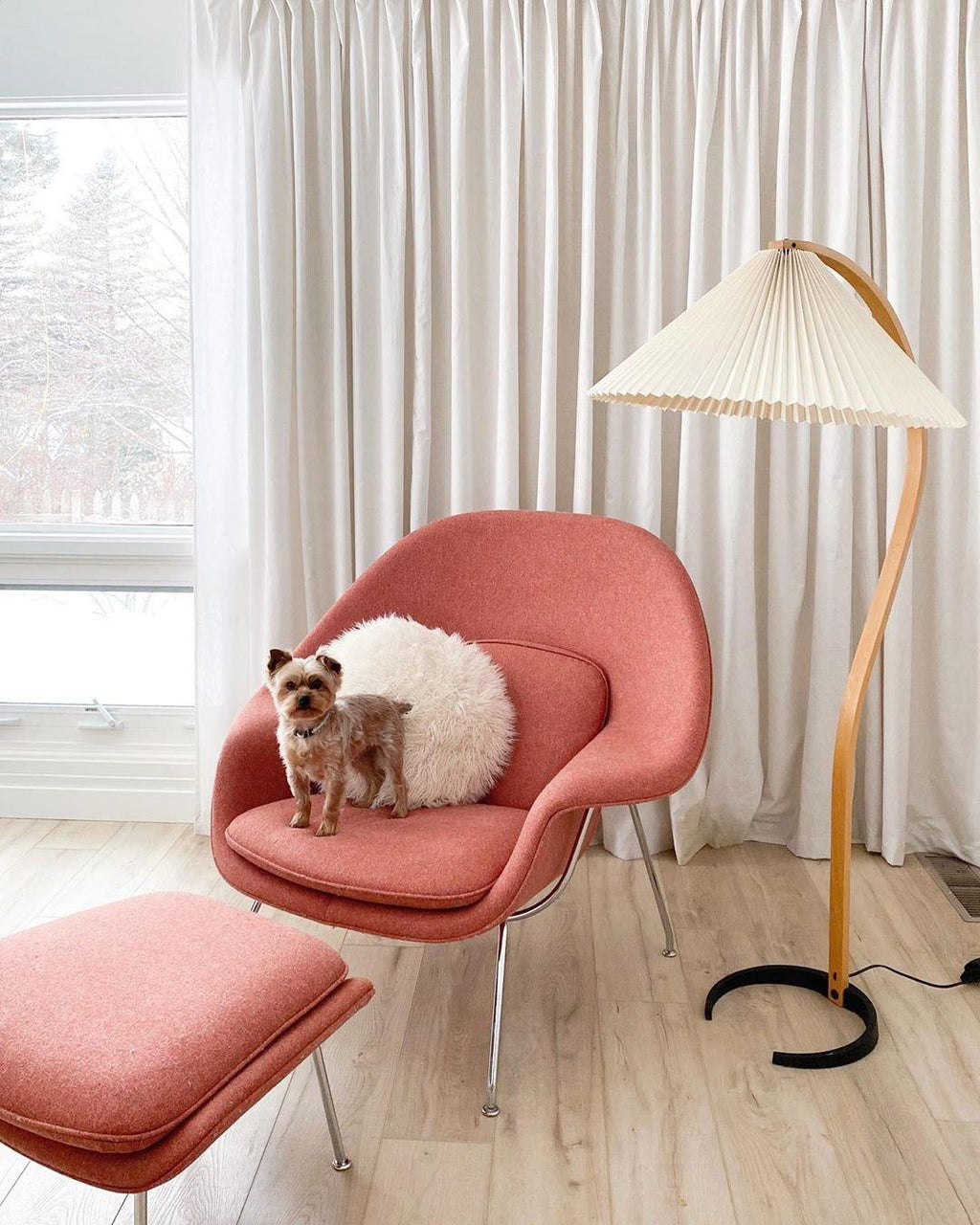 LumaArc Floor Lamp